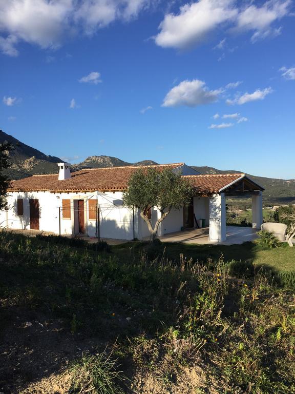 Villa Alba Esclusiva Villa Con Piscina A Sfioro E Vista Mozzafiato Sul Mare 쿠그나나 외부 사진